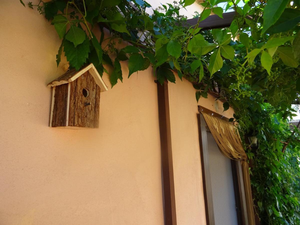 La Muntanya - Apartamentos Rural Guadalest Benimantell Exterior photo